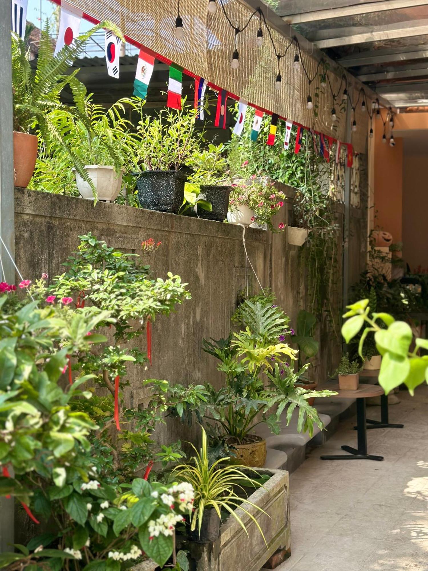 Chi'S Homestay & Coffee Хюэ Экстерьер фото
